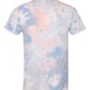 Dyenomite 650DR - Image 2